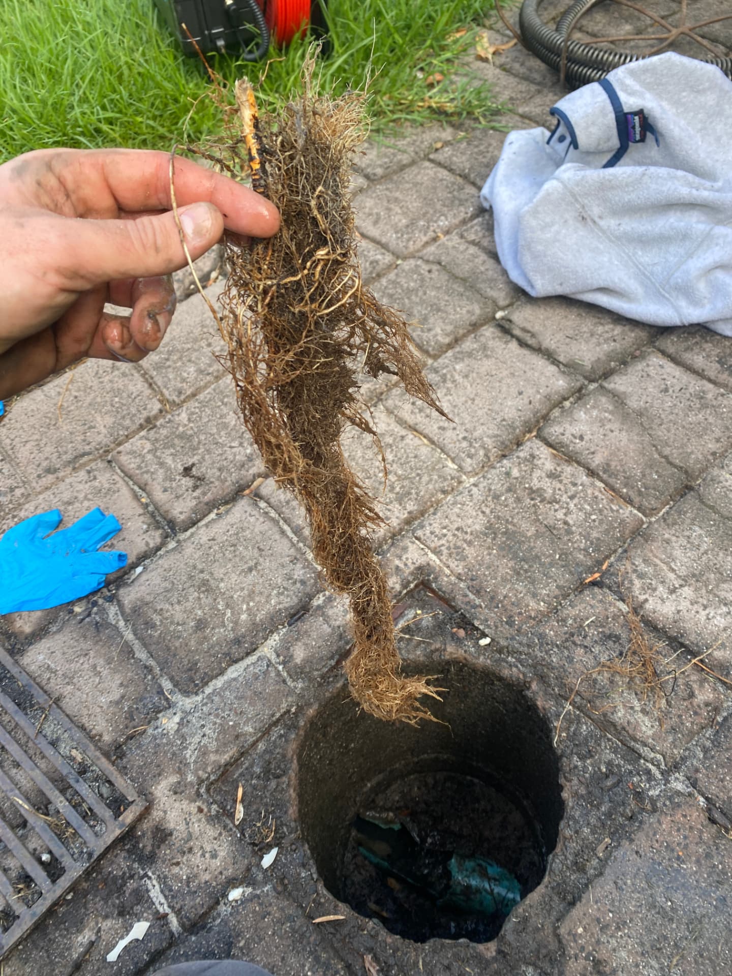 Plumber holding a thick clump of tree roots removed from a stormwater pit